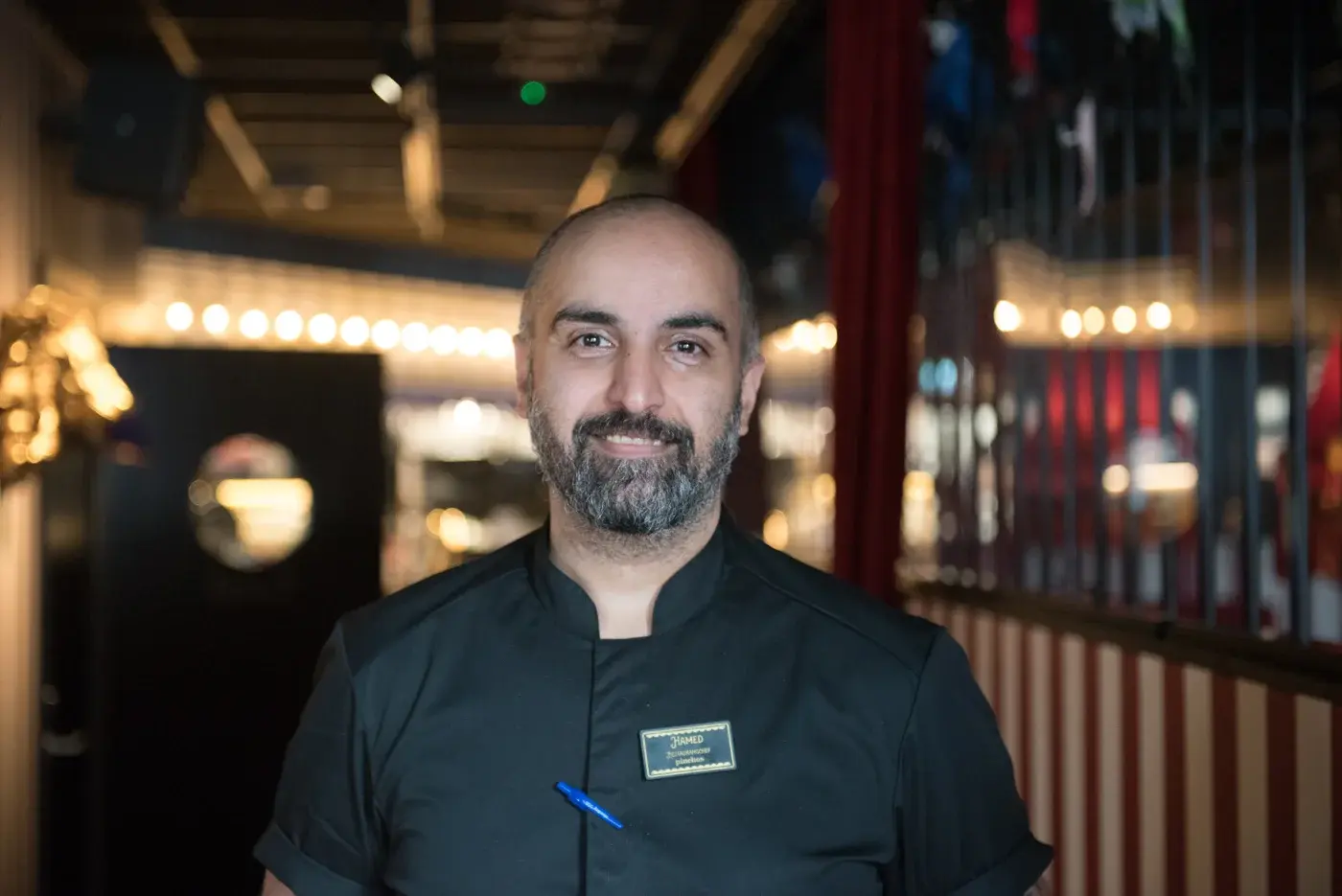 Hamed Mirzaali