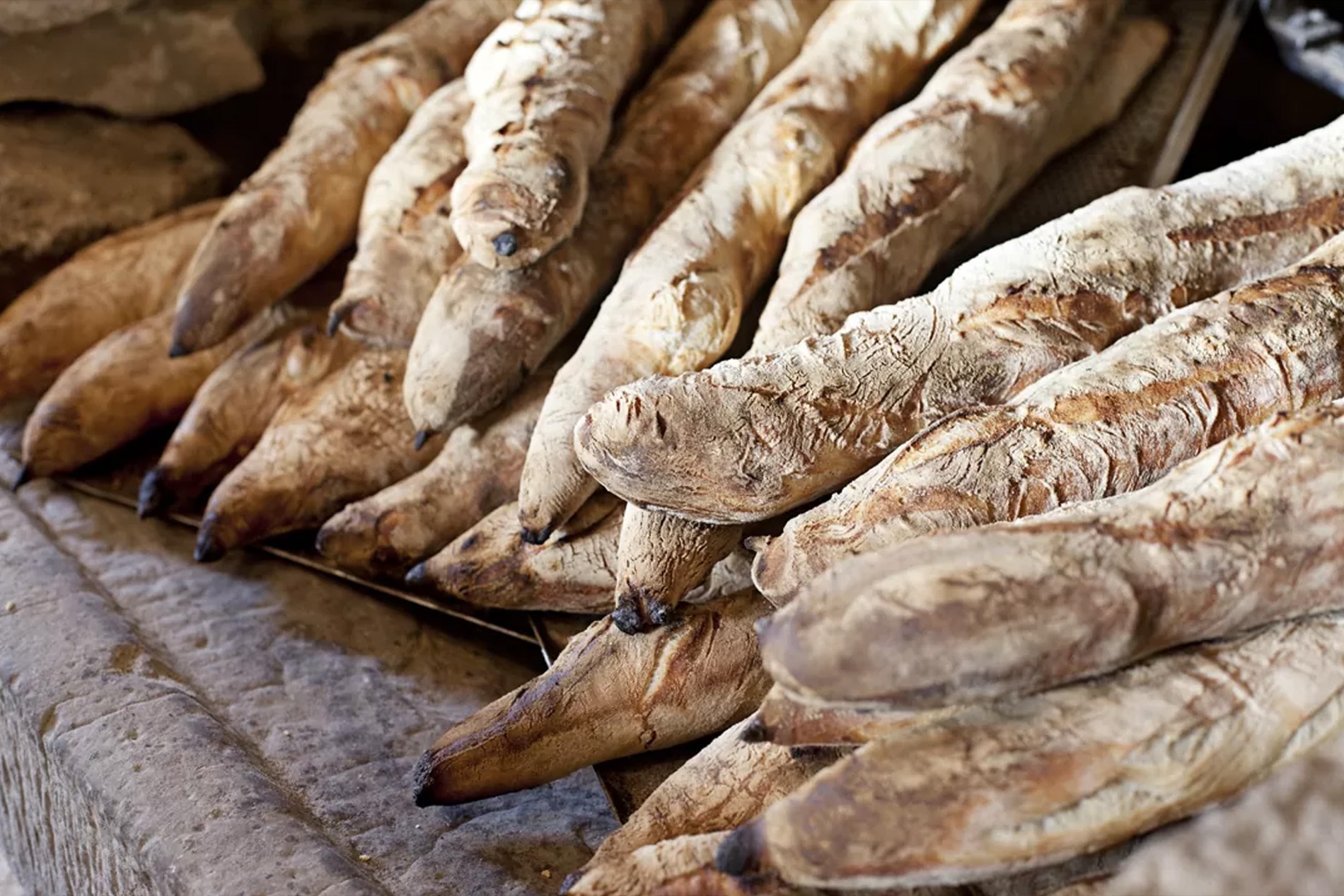 Freshly baked baguettes laid out in rows on stone.