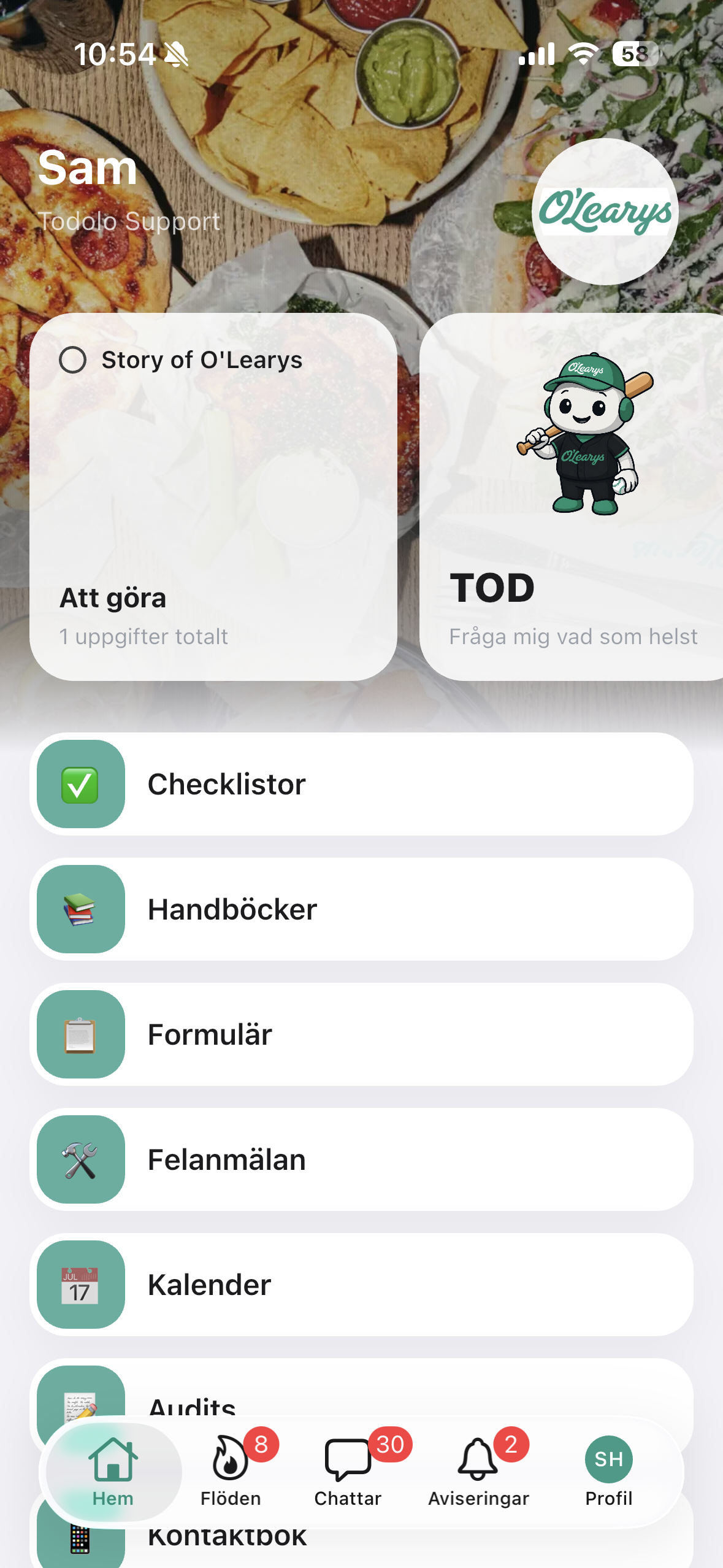 O'Learys Todolo home screen preview